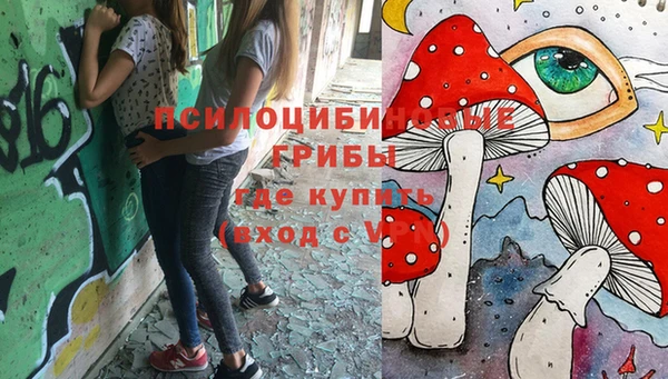 mdma Дмитриев