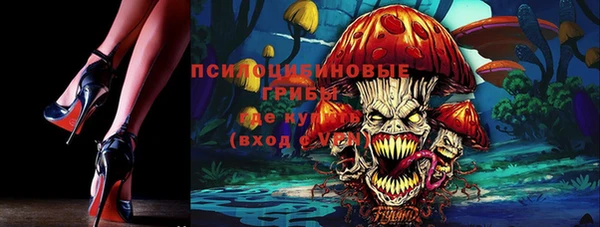 mdma Дмитриев